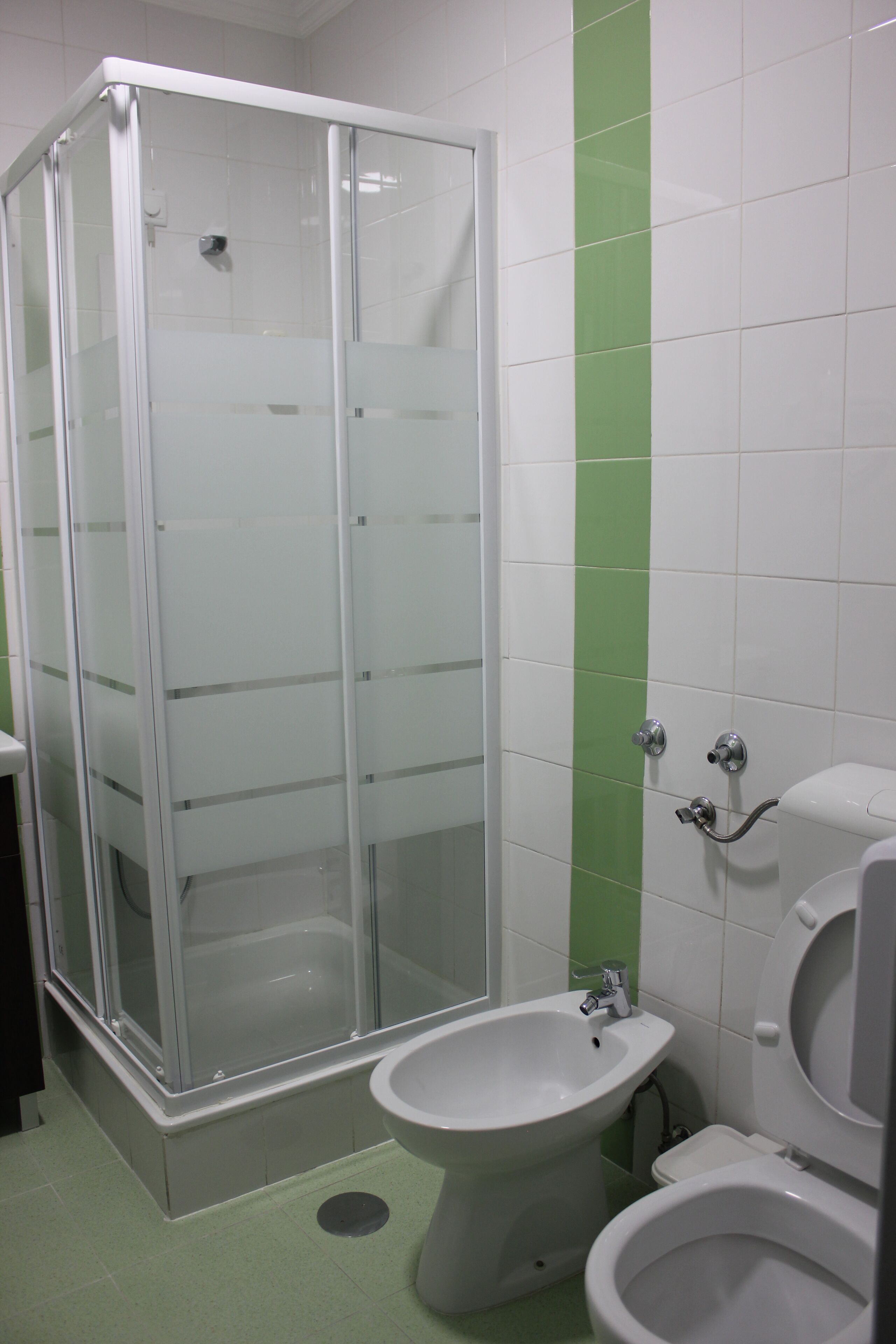 A bathroom with a glass-enclosed shower, a bidet, and a toilet.