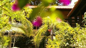 A lush garden with various tropical plants and a stone wall. - Pousada Além do Jardim (Imbituba)