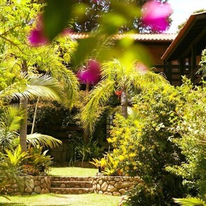 Property grounds - Pousada Além do Jardim (Imbituba)