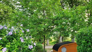 A wooden cabin with a circular window, surrounded by lush greenery and flowering plants. - Camping de Nevers (Nevers)