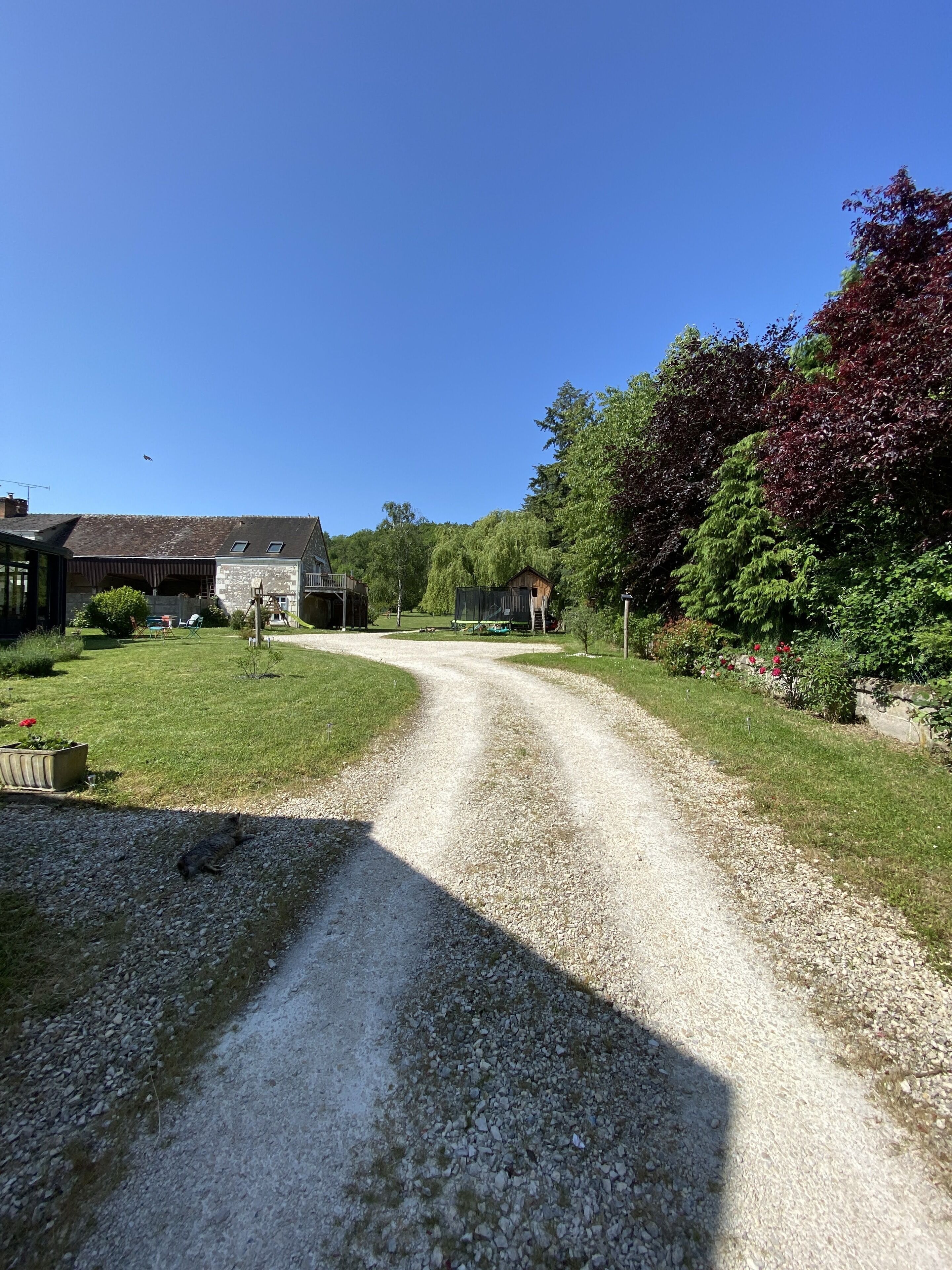 A gravel driveway leading to a rustic building with a sloped roof, surrounded by lush greenery and a clear blue sky.