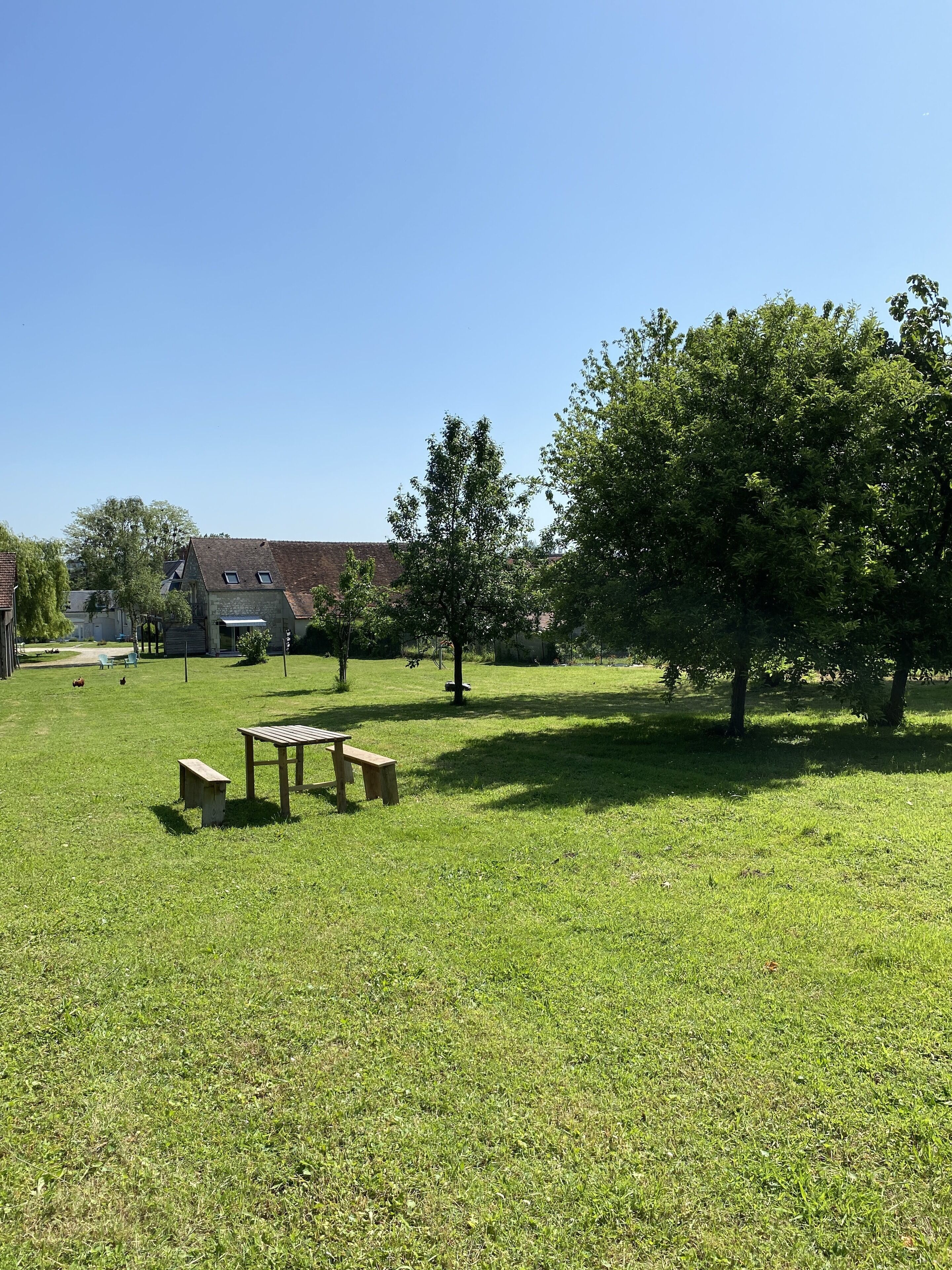 Un espacio al aire libre con césped, una mesa de picnic y bancos, rodeado de árboles y un edificio con techo inclinado.