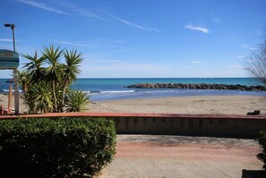 Playa en los alrededores 