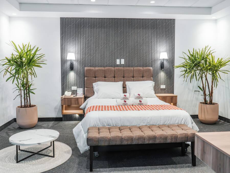 A modern hotel room with a large bed, bedside tables, a bench, and two potted plants.