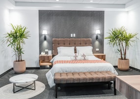 Una habitación de hotel moderna con una cama grande, mesitas de noche, un banco y dos plantas en macetas.
