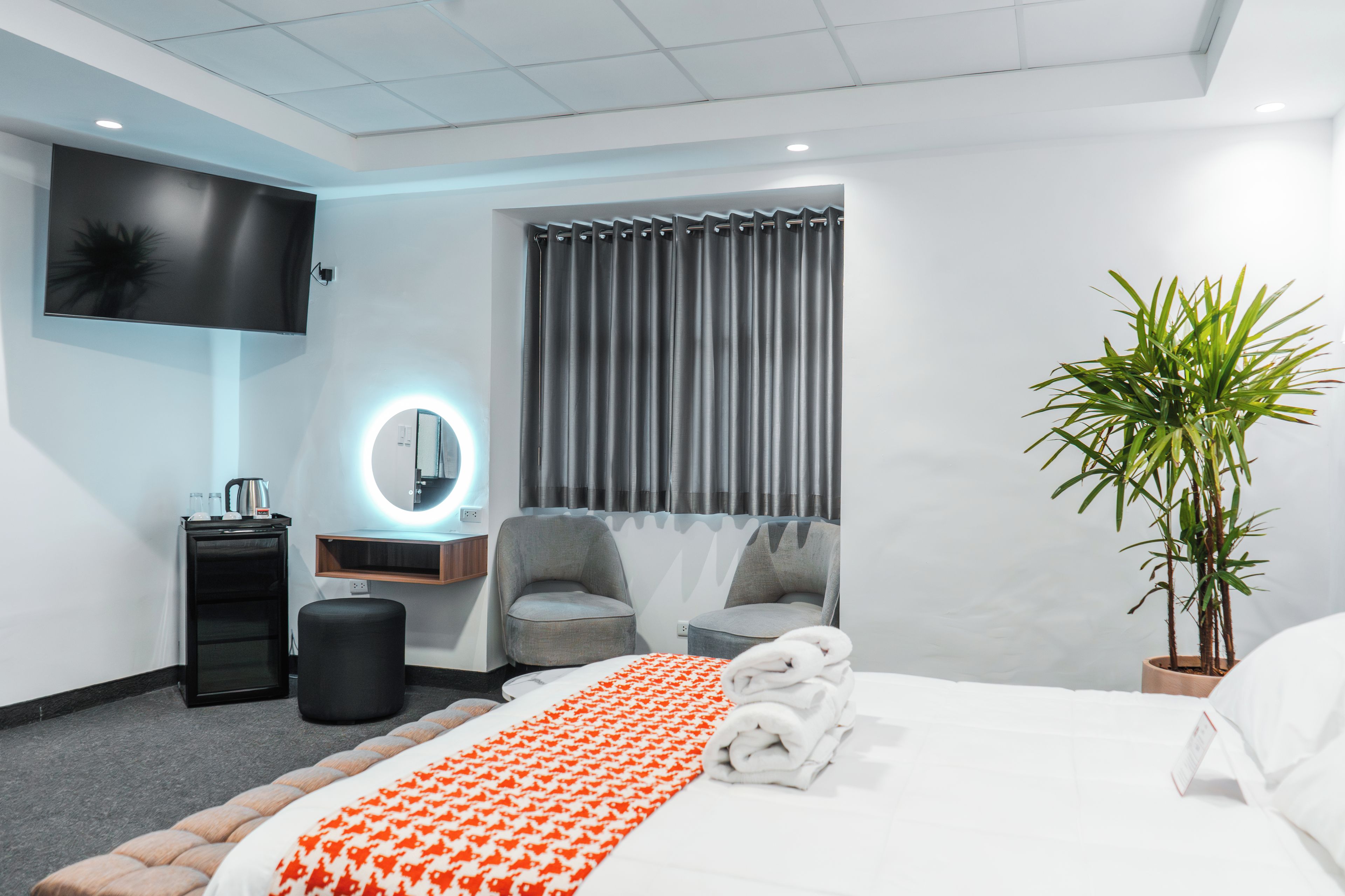 A modern hotel room with a bed, a desk, a chair, a potted plant, and a TV mounted on the wall.