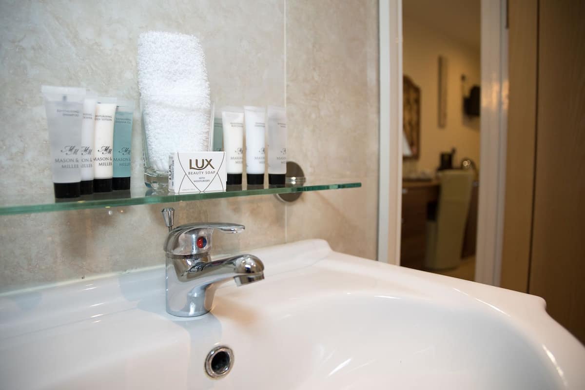 Combined shower/bathtub, free toiletries, hair dryer, towels