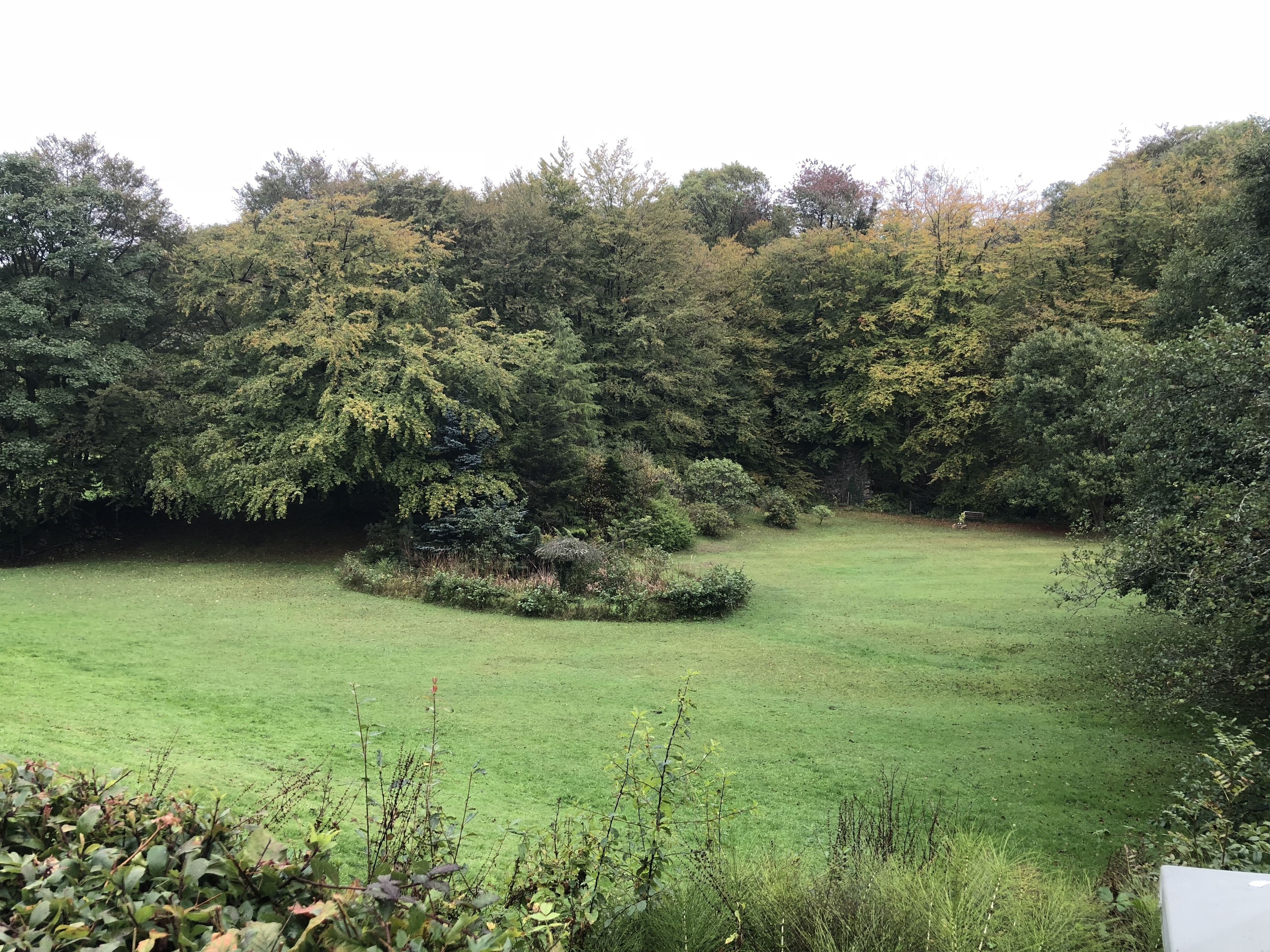 Um jardim exuberante com diversas árvores e arbustos, um gramado bem cuidado e um pequeno canteiro de flores circular.