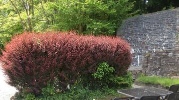 Eine Steinmauer, ein Hecke und Sitzgelegenheiten im Freien.