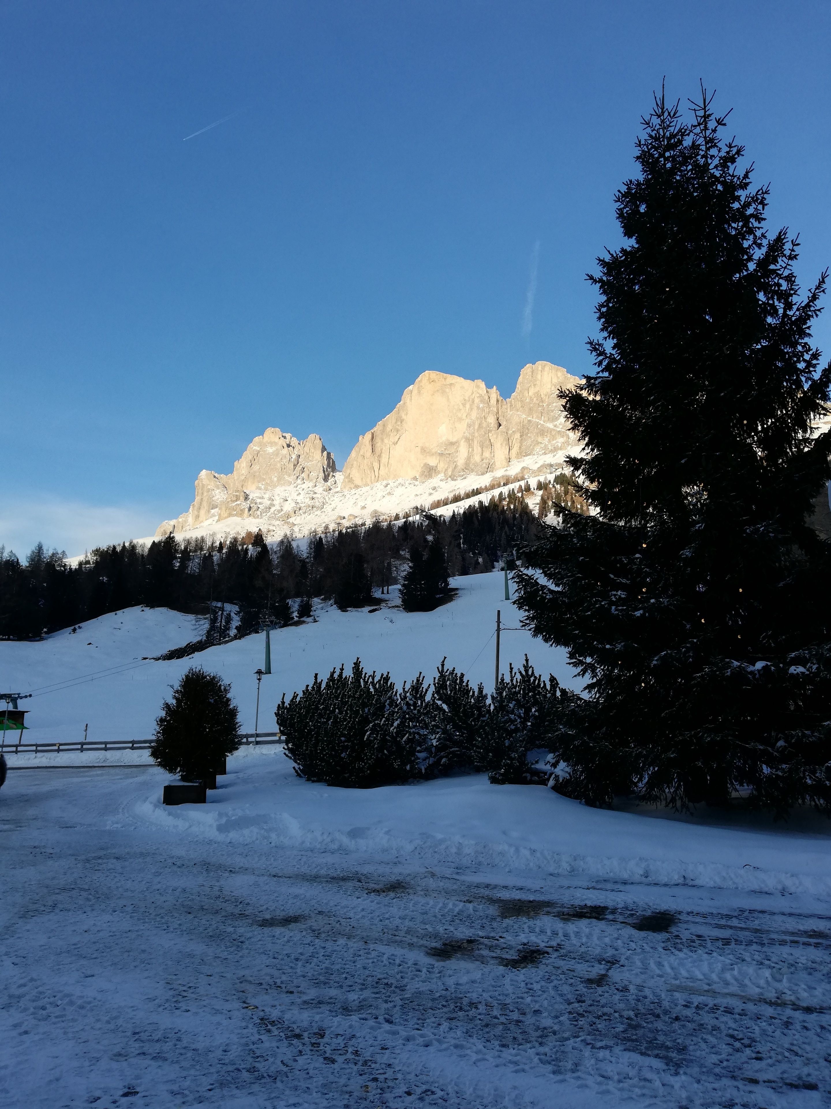 Paisagem nevada com uma montanha ao fundo, uma grande árvore perene e um teleférico.