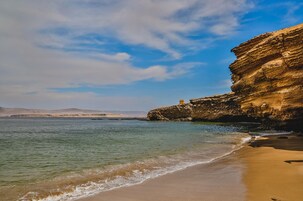 Playa en los alrededores y sombrillas 