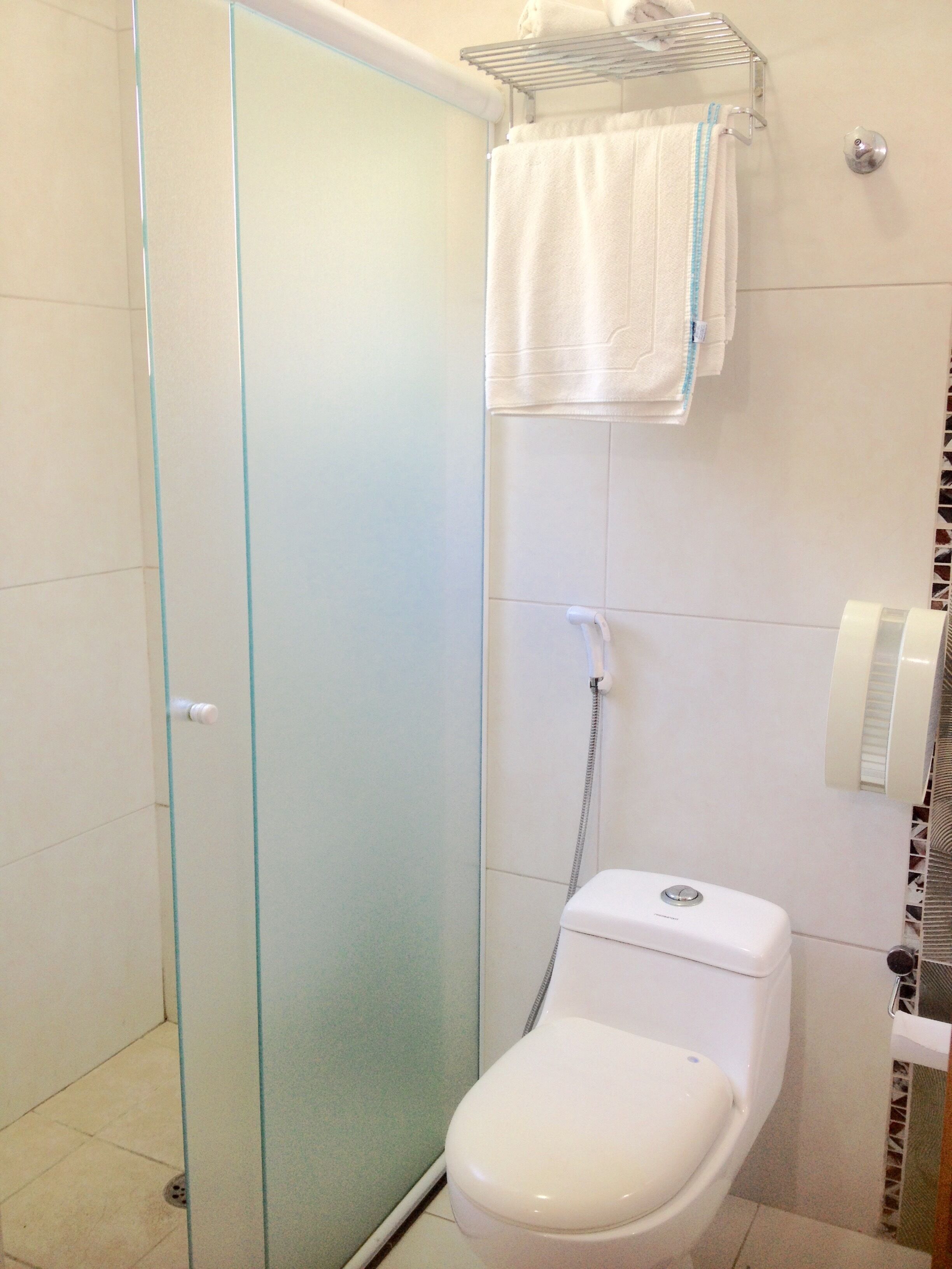 A bathroom with a glass shower enclosure, a toilet, and a towel rack with two towels.