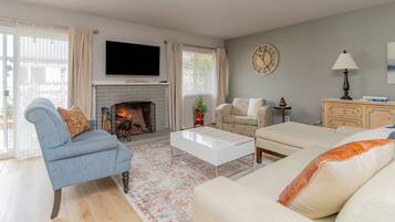 Smart TV, fireplace, books