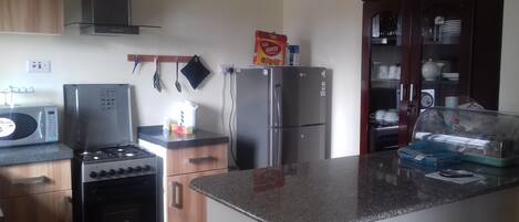 Fridge, microwave, stovetop