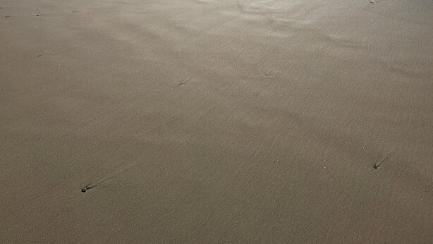 Ein Strand mit blauem Himmel und ruhiger See.