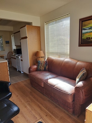 Smart TV, reproductor de DVD y estéreo 