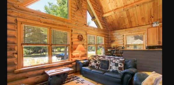 Télévision, cheminée, lecteur de DVD