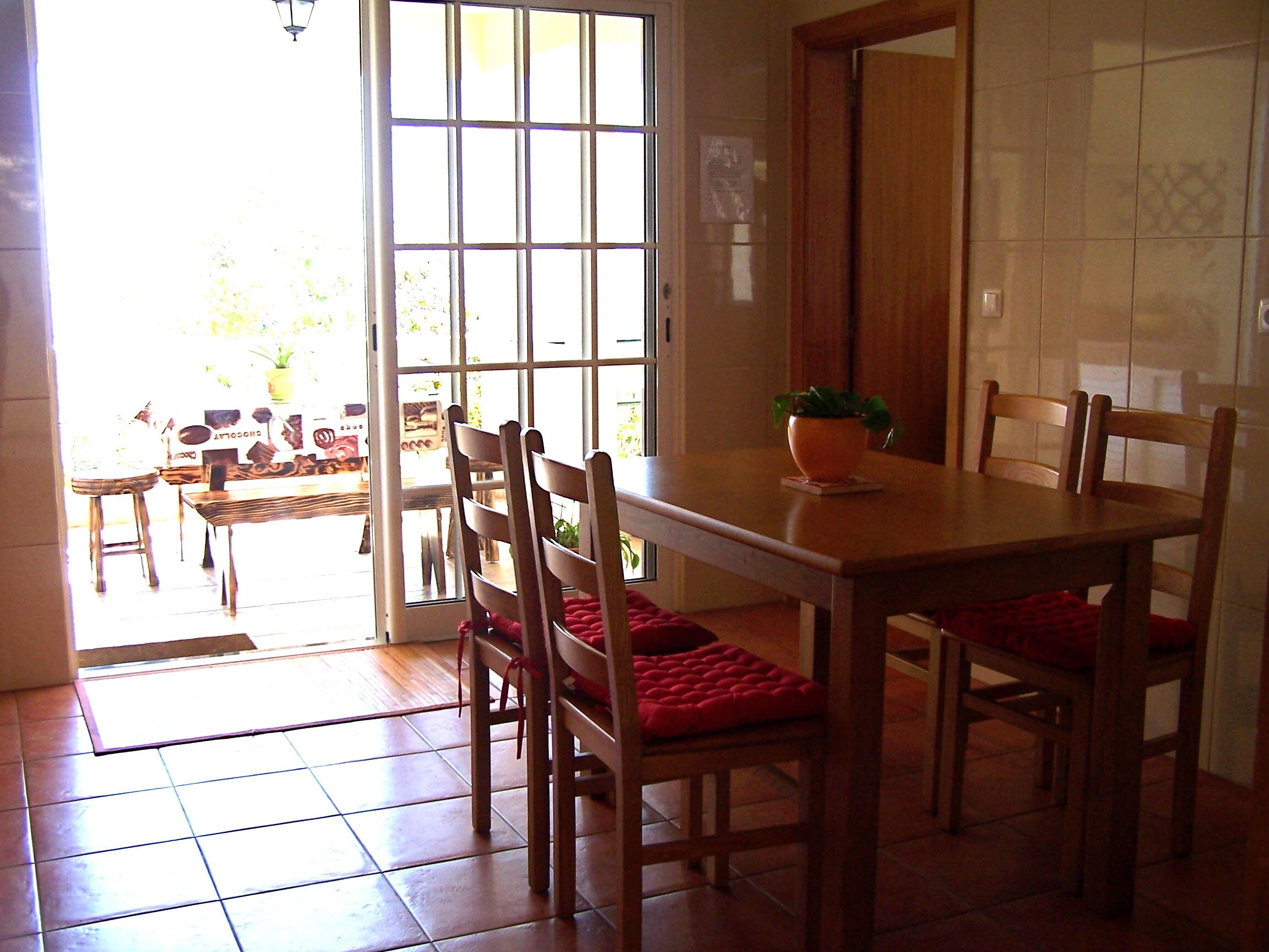 Un coin repas avec une table et des chaises en bois, une plante en pot et une vue sur l’extérieur.