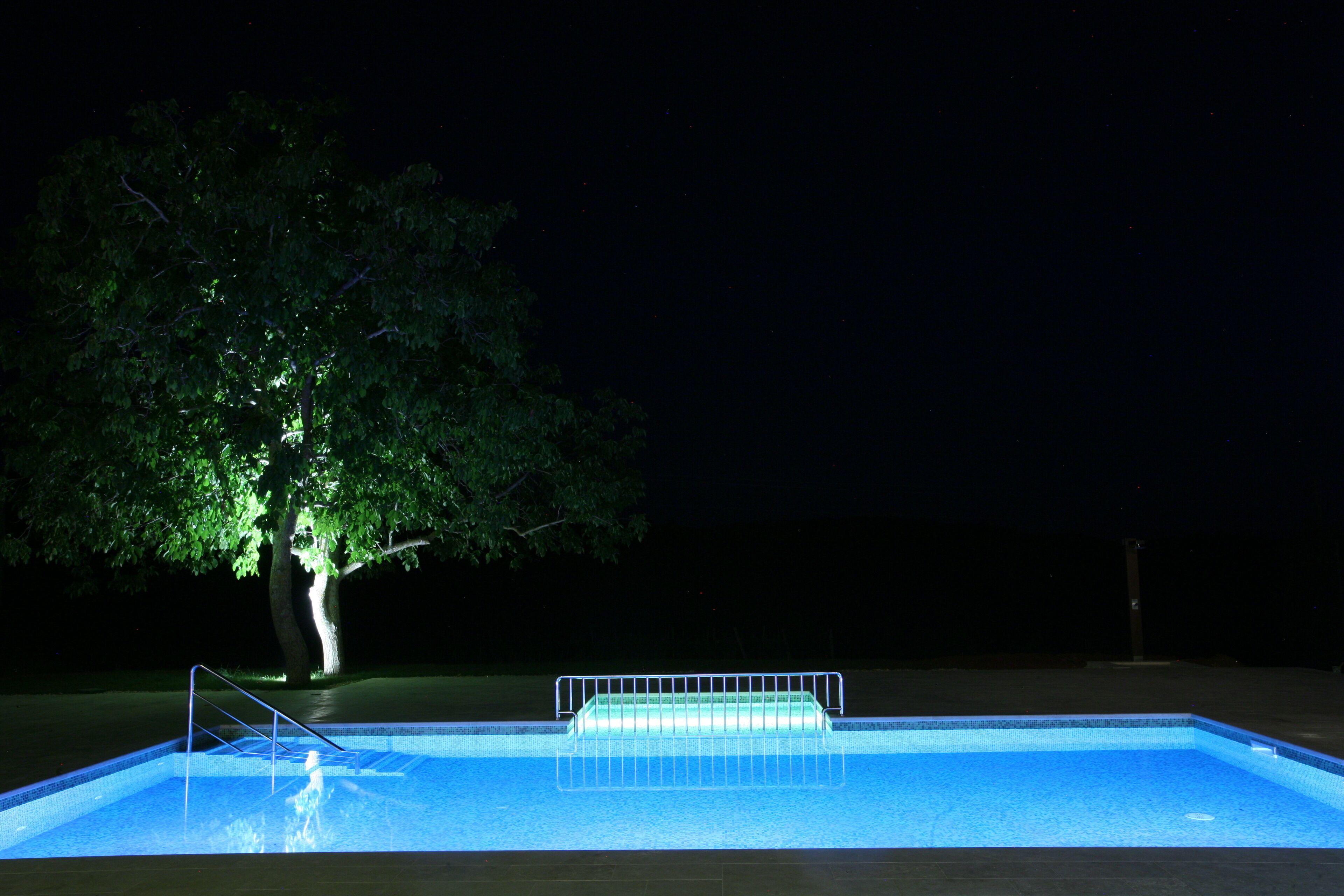 A swimming pool at night with a tree illuminated in the background.