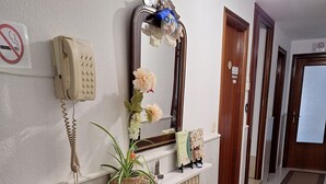 Un pasillo con teléfono, espejo, plantas decorativas y radiador.