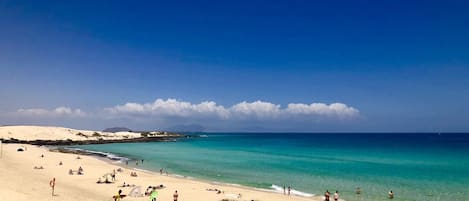 On the beach, sun-loungers