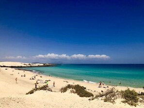 On the beach, sun-loungers