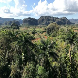 Double Room, Non Smoking, Terrace | Property grounds