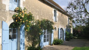 Un edificio con contraventanas azules y un jardín con flores amarillas.
