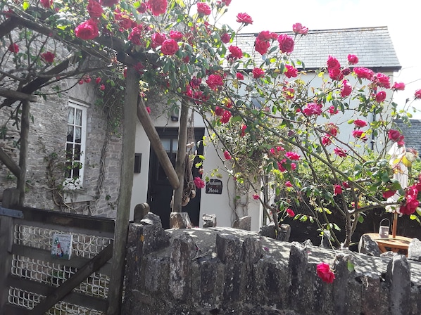 A stone wall with a metal gate, a white building with a sign reading "Aulump Rose", and a tree with pink flowers.