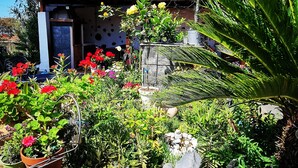 Una casa con techo de tejas, un jardín con diversas plantas y flores, y una antena parabólica en el tejado.