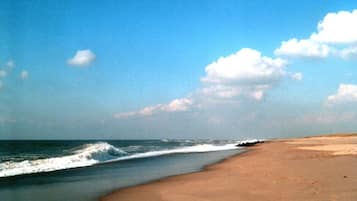 On the beach, sun-loungers