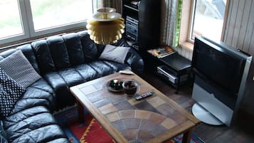 TV, fireplace, DVD player, books