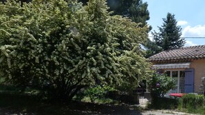 Una casa con techo de tejas, un jardín con un árbol frondoso en flor y una pequeña zona de estar al aire libre.