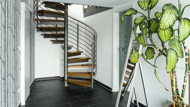 Un interior modern amb una escala de caragol, terra de color fosc i una planta gran en test.