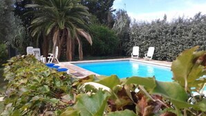 En swimmingpool med liggestole og en palme.
