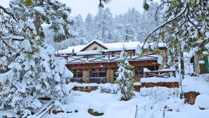 Exterior - Big Bear's Most Unique Location! Amazing View, Wood Fireplace, Backs To Mountain (Fawnskin)