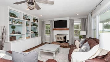 TV, fireplace, books