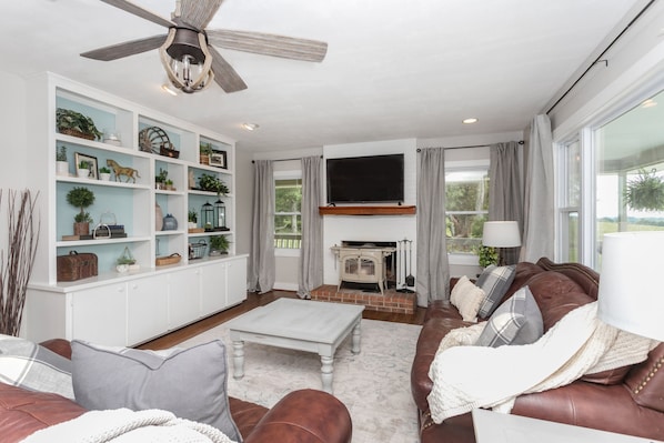 TV, fireplace, books