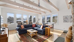 Smart TV, fireplace, DVD player, books
