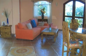 Televisión, reproductor de DVD, libros y videoteca