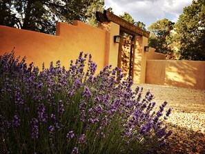 Property grounds - 7th Nt Free Lux SantaFe AdobeMtn Theme w/casita outdoorliving10+Yrs SuperHost (Santa Fe)
