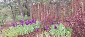 7th Nt Free Lux SantaFe AdobeMtn Theme w/casita outdoorliving10+Yrs SuperHost