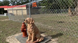 Un perro sentado sobre una plataforma de concreto al lado de un hidrante rojo, con una cerca de malla metálica y un letrero que dice 'PRECAUCIÓN, PERRO' al fondo.