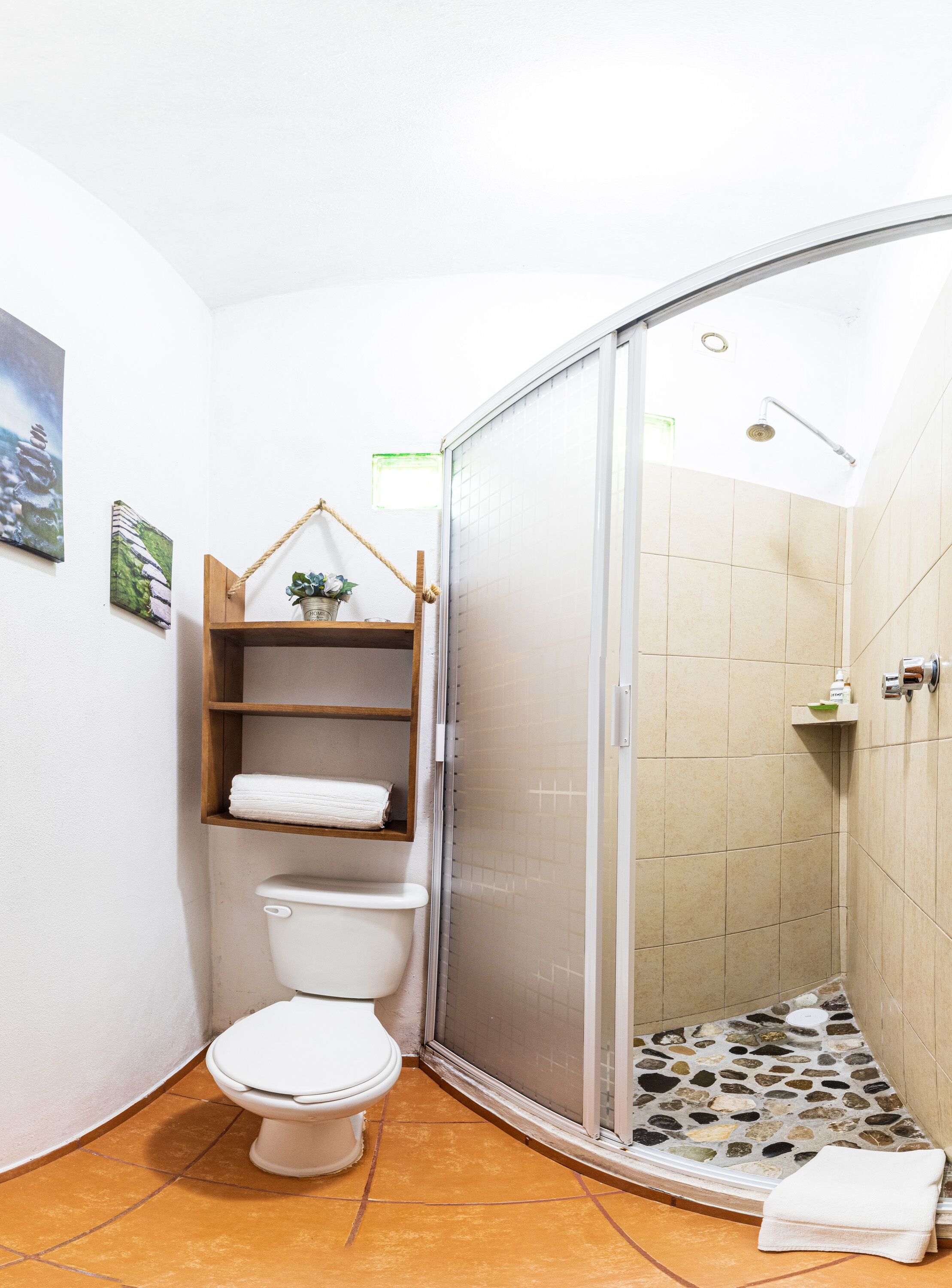 A bathroom with a toilet, a shower with a glass door, and a shelf with a plant.
