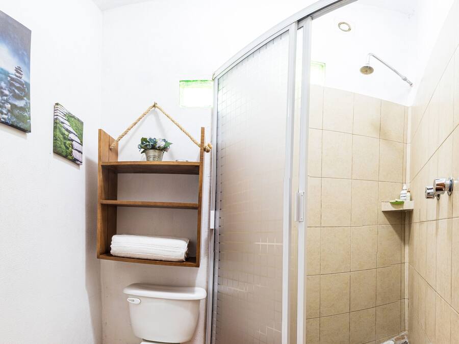 A bathroom with a toilet, a shower with a glass door, and a shelf with a plant.