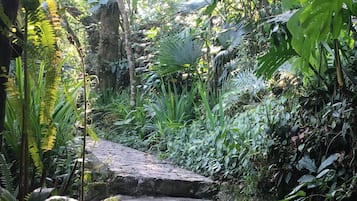 Jardín