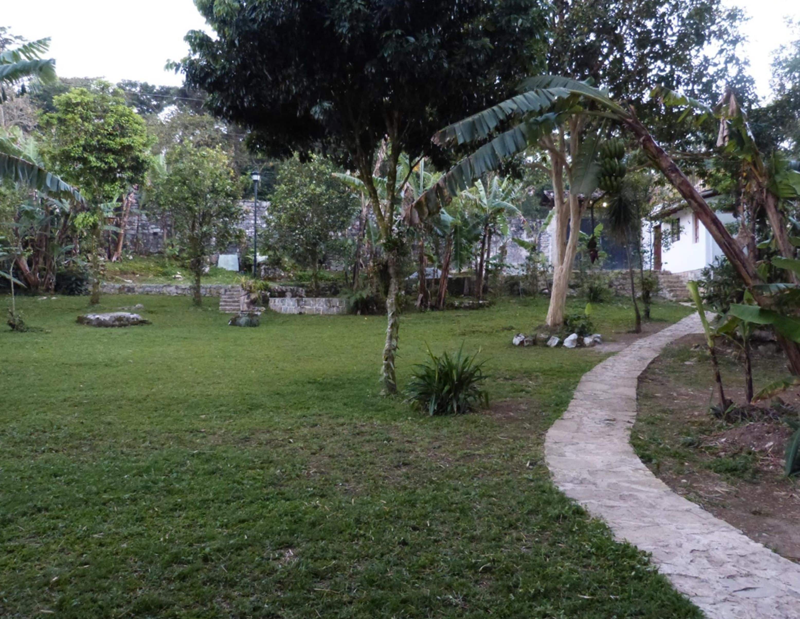 A garden with a stone pathway, various plants, and a white building in the background.