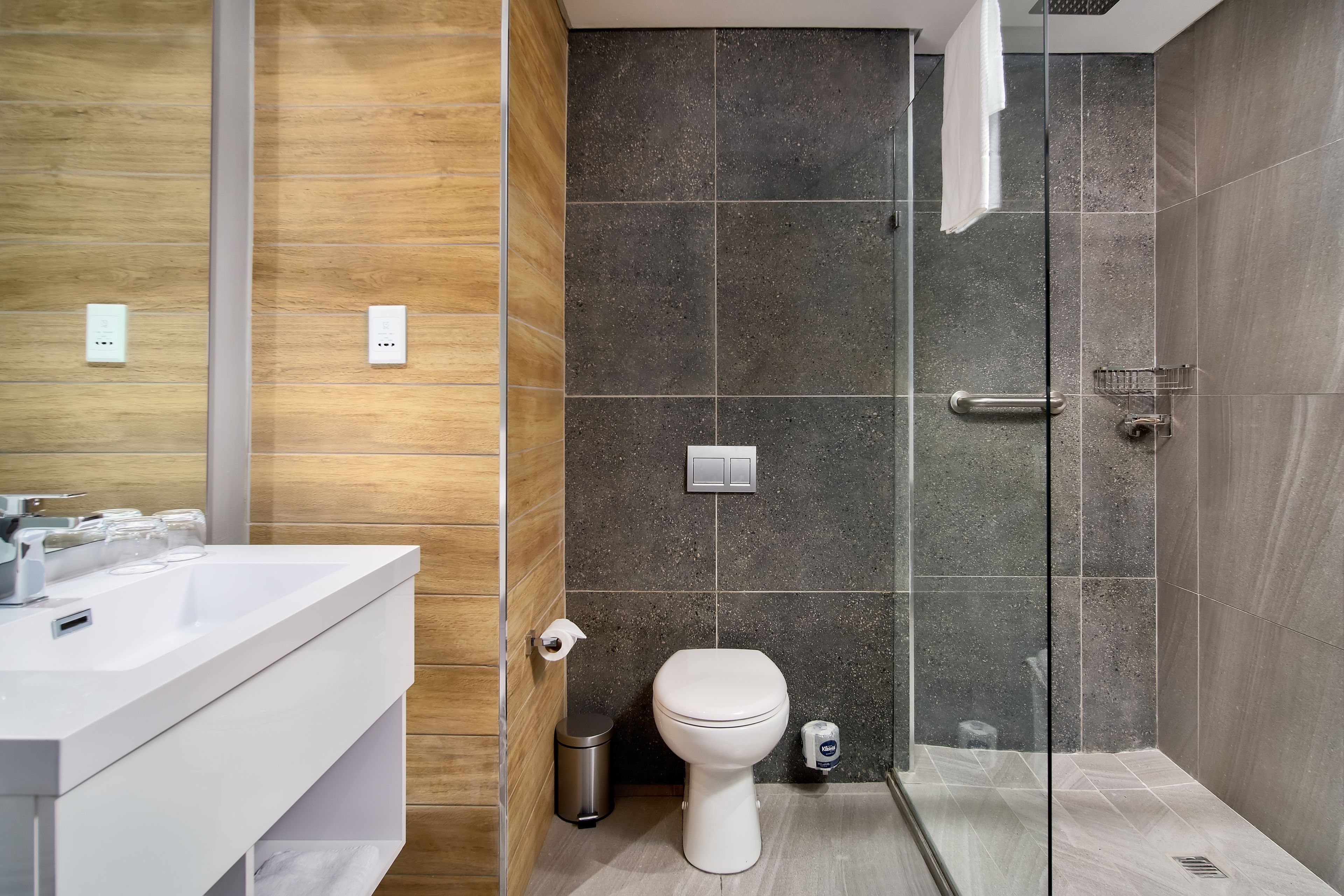 hair dryer, towels, soap, toilet paper