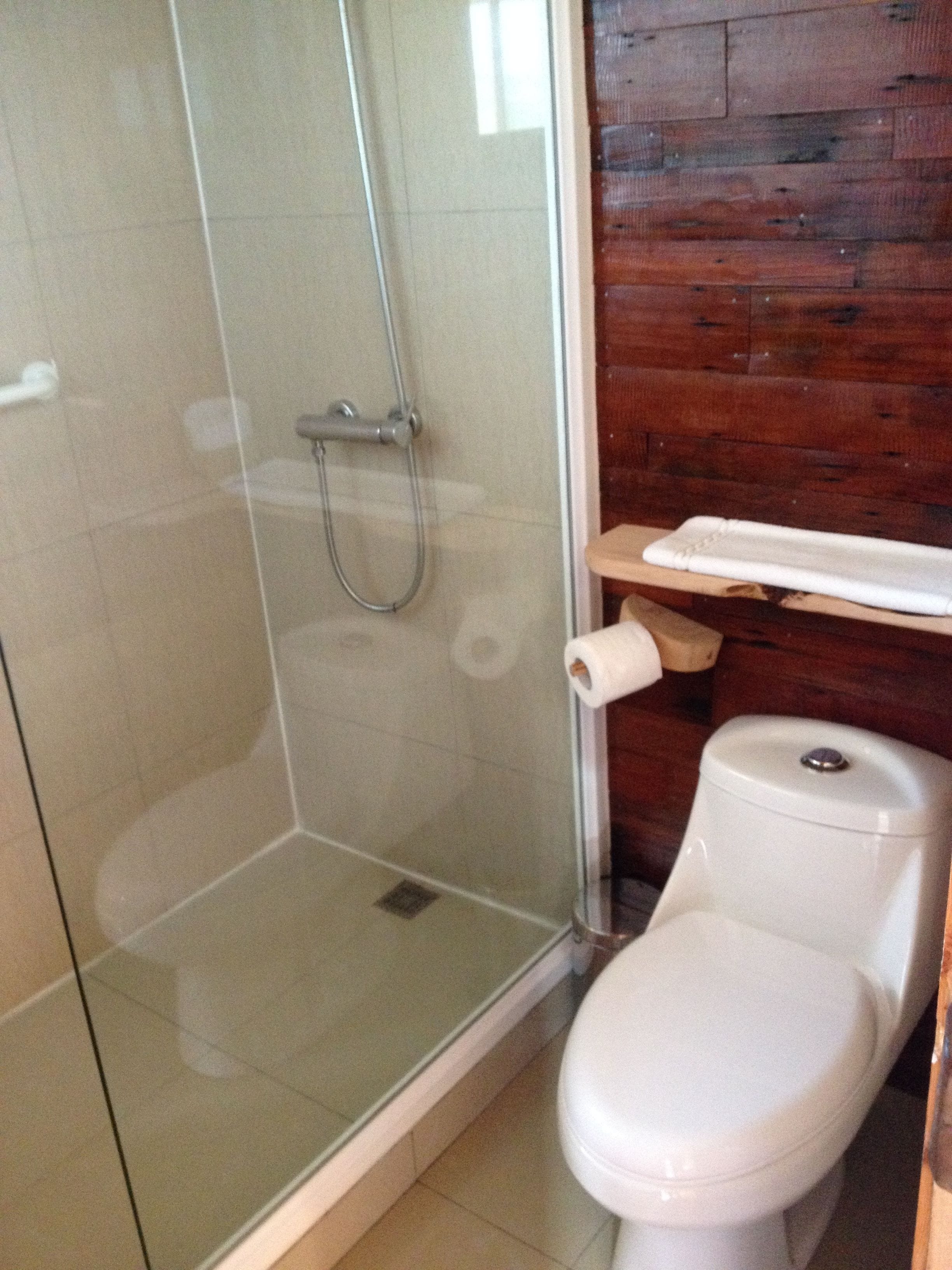 Un baño con ducha de vidrio, inodoro y estante de madera con una toalla.