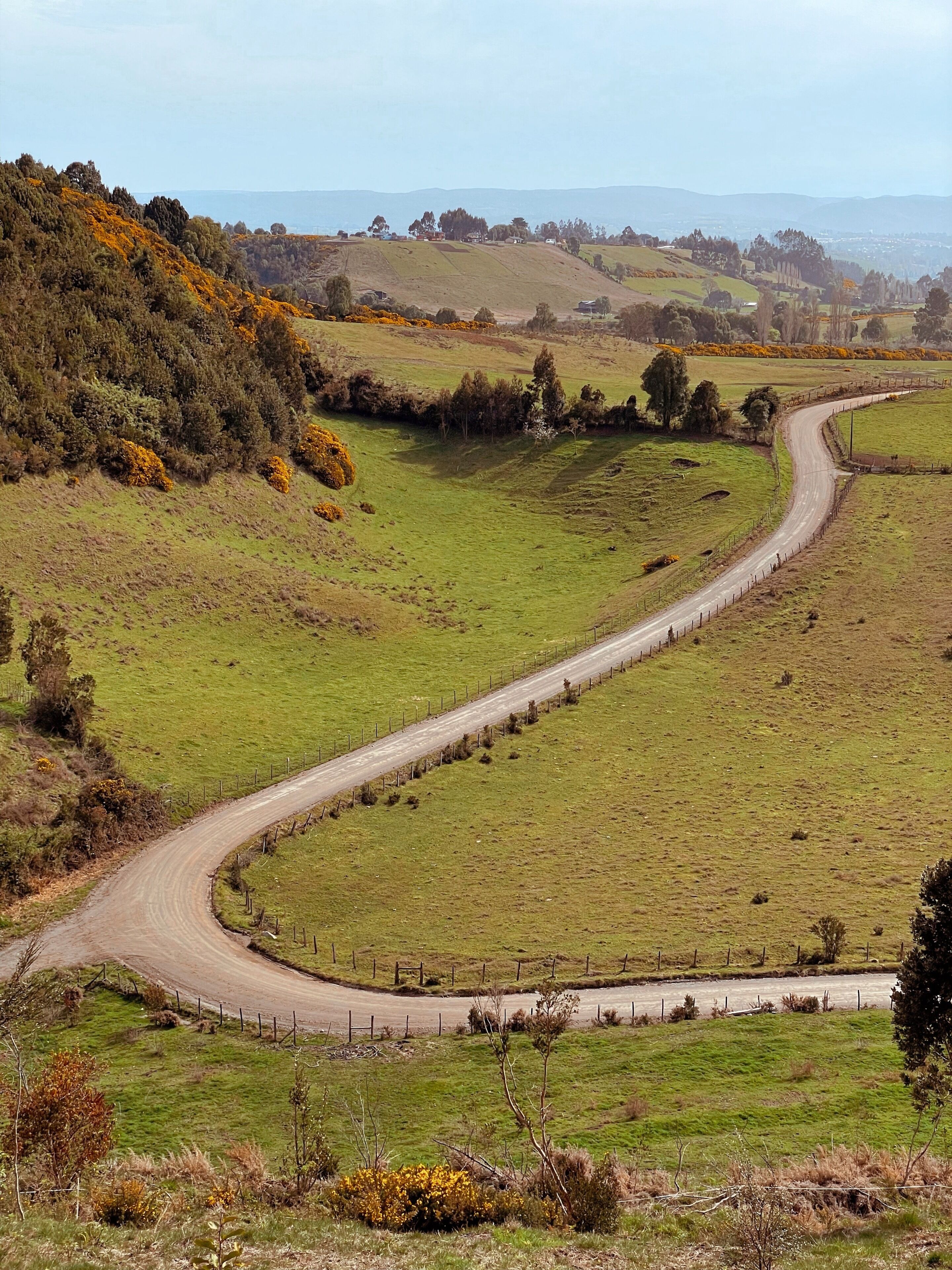 Une route de campagne sinueuse traverse un paysage verdoyant, avec des champs et des arbres dispersés.